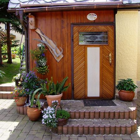 Ferienhaus Erzgebirge "An Der Trebe" Mit Kamin Und Sauna Нойхаузен Номер фото