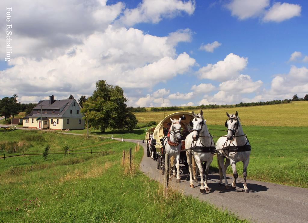 Ferienhaus Erzgebirge "An Der Trebe" Mit Kamin Und Sauna Нойхаузен Экстерьер фото