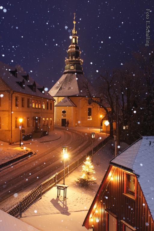 Ferienhaus Erzgebirge "An Der Trebe" Mit Kamin Und Sauna Нойхаузен Экстерьер фото