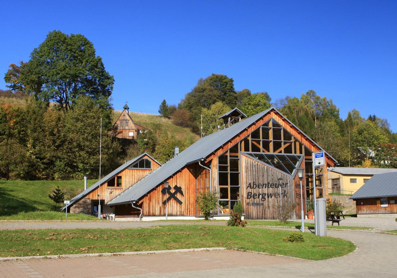 Ferienhaus Erzgebirge "An Der Trebe" Mit Kamin Und Sauna Нойхаузен Экстерьер фото